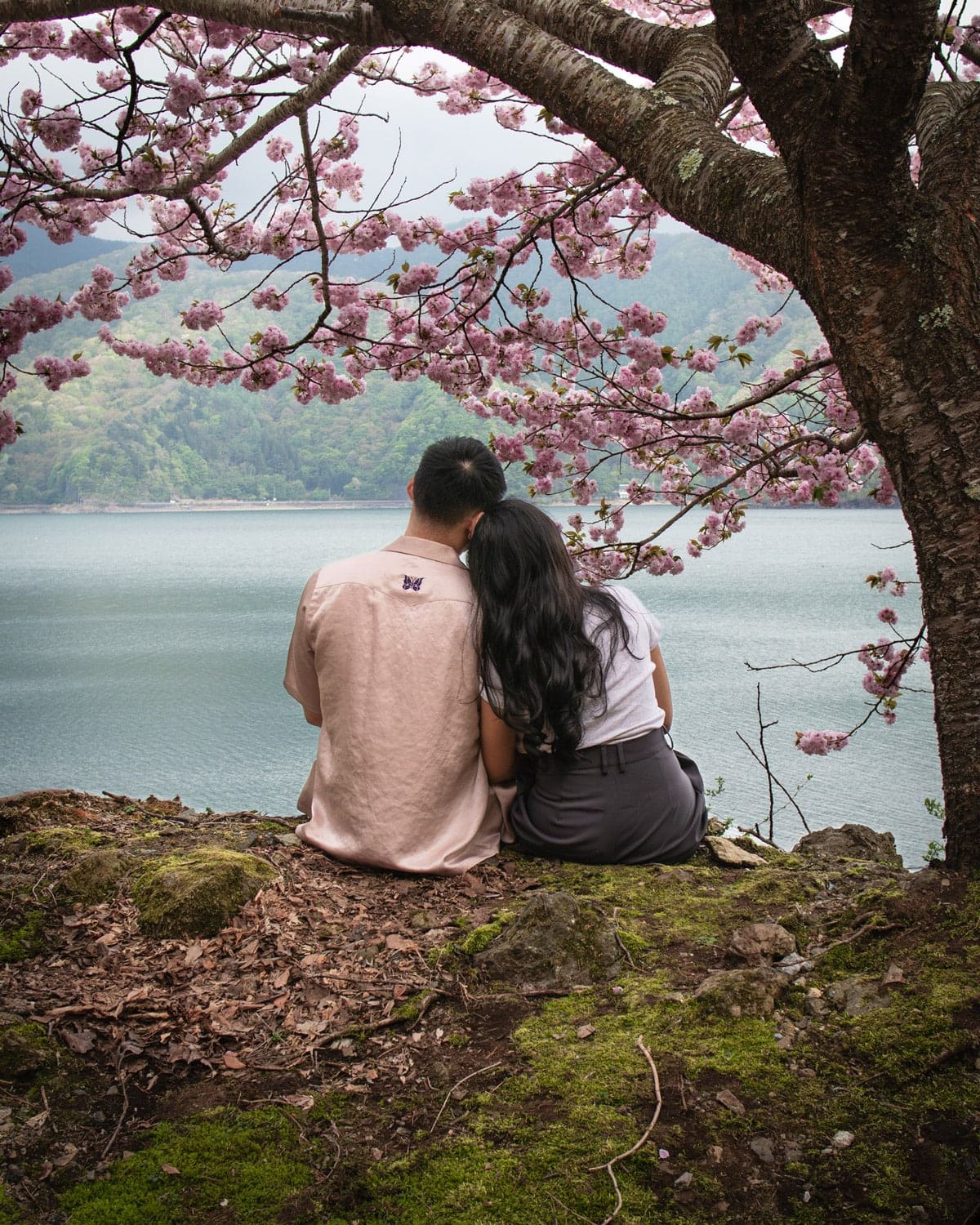 Showa Kinen Park Japanese Garden