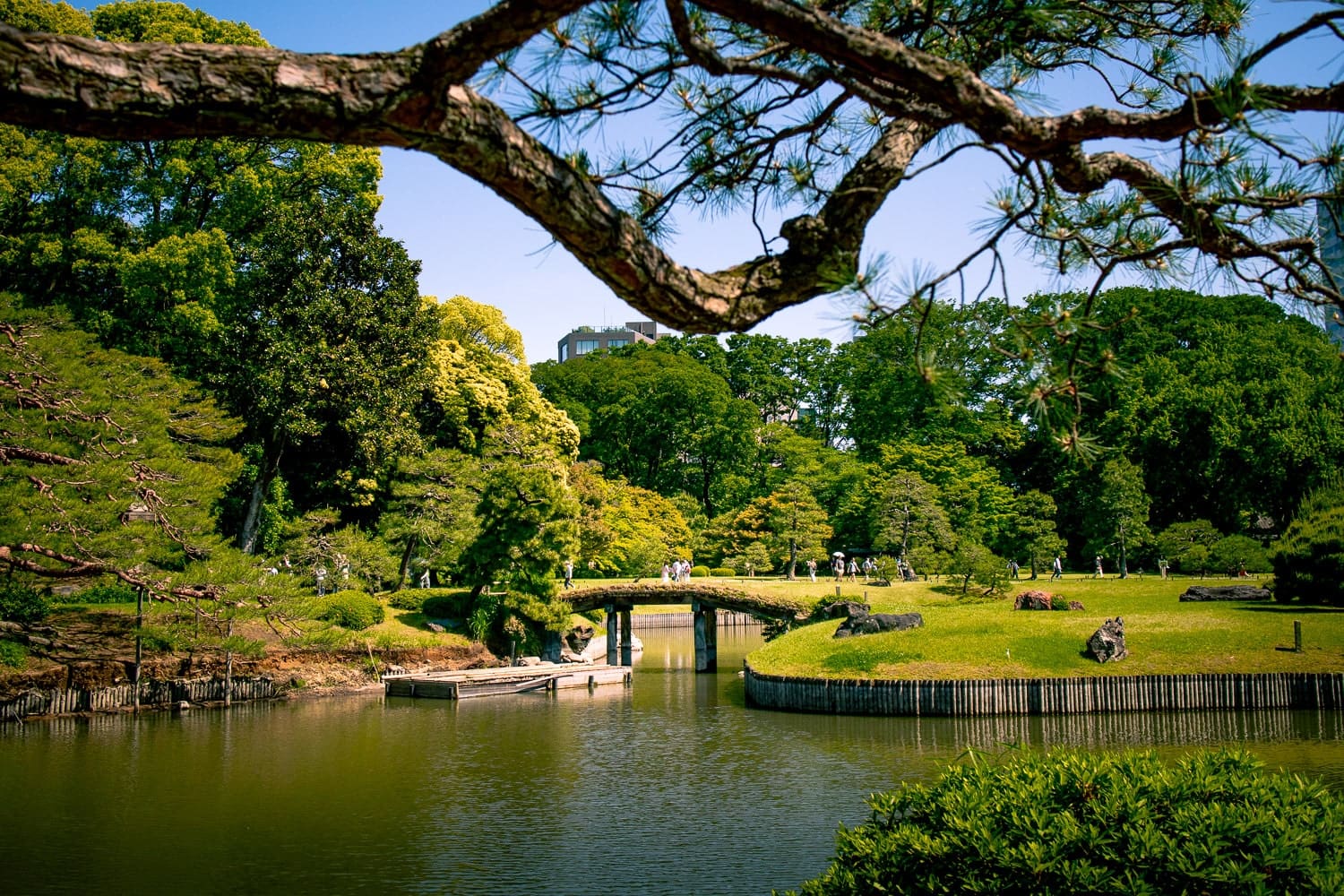 Showa Kinen Park Japanese Garden