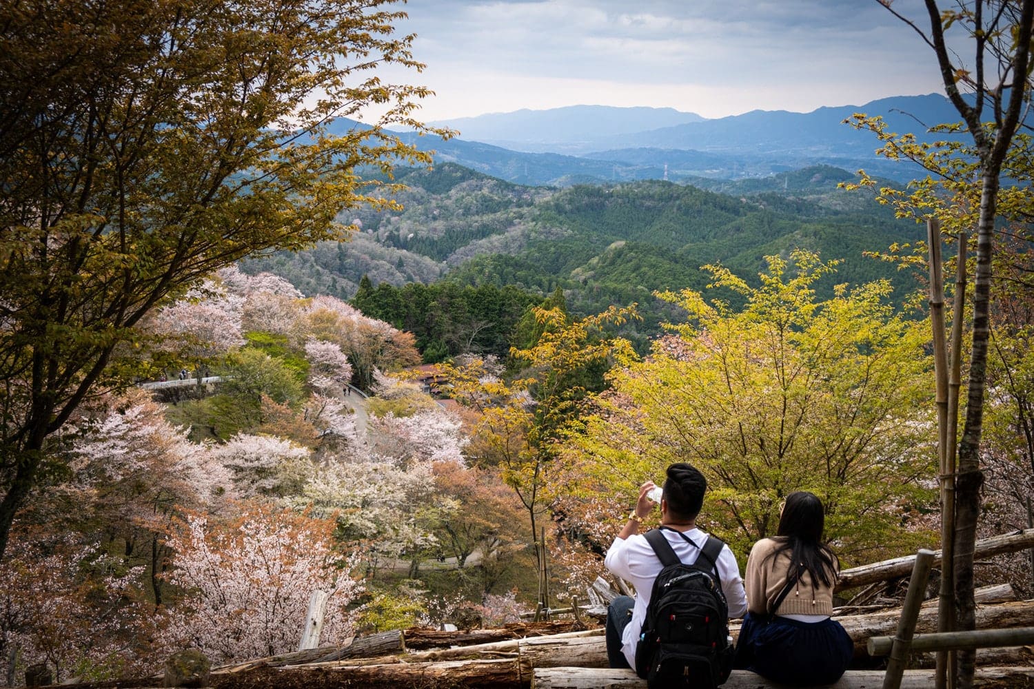 Showa Kinen Park Japanese Garden