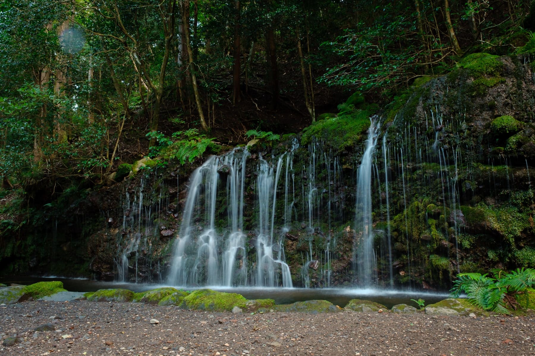 Showa Kinen Park Japanese Garden