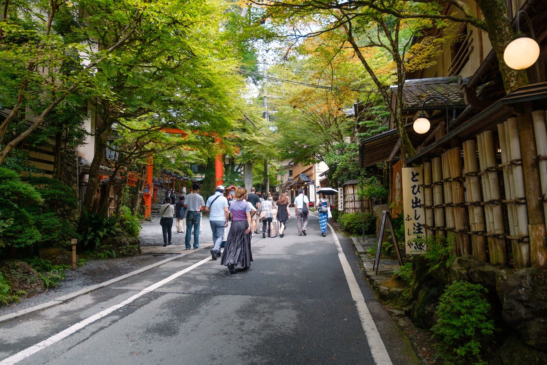 kyoto-trip-2024-66-min