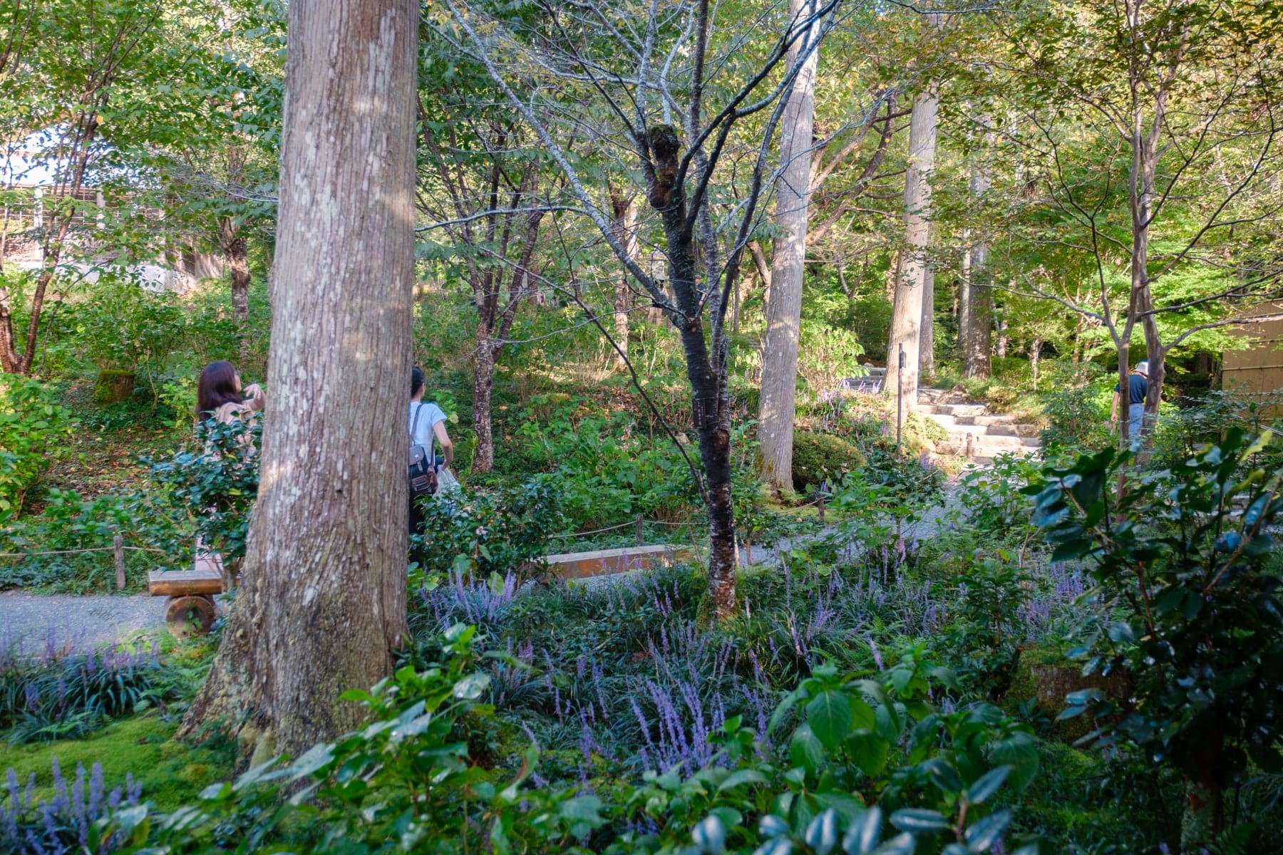 Showa Kinen Park Japanese Garden