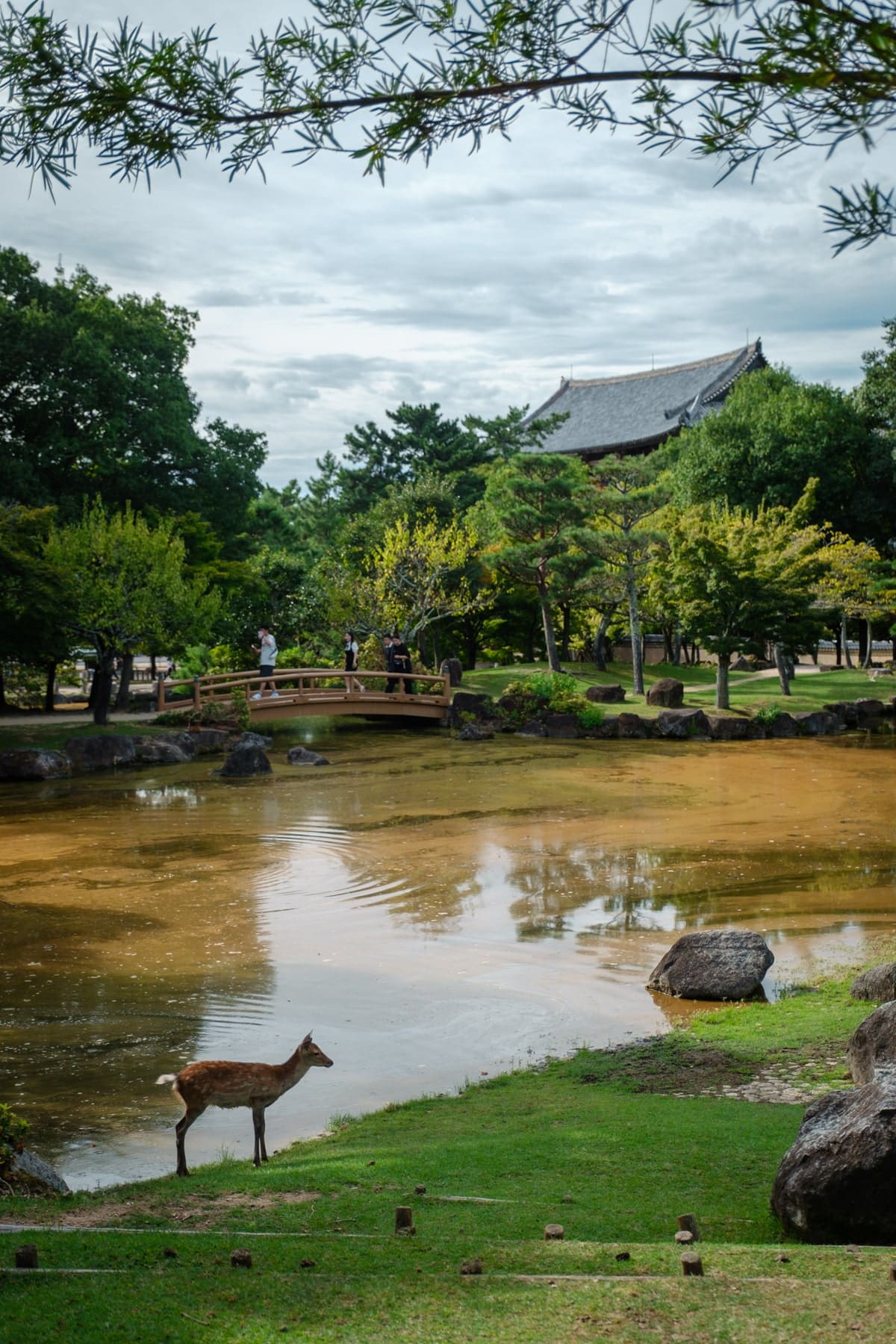 Showa Kinen Park Japanese Garden