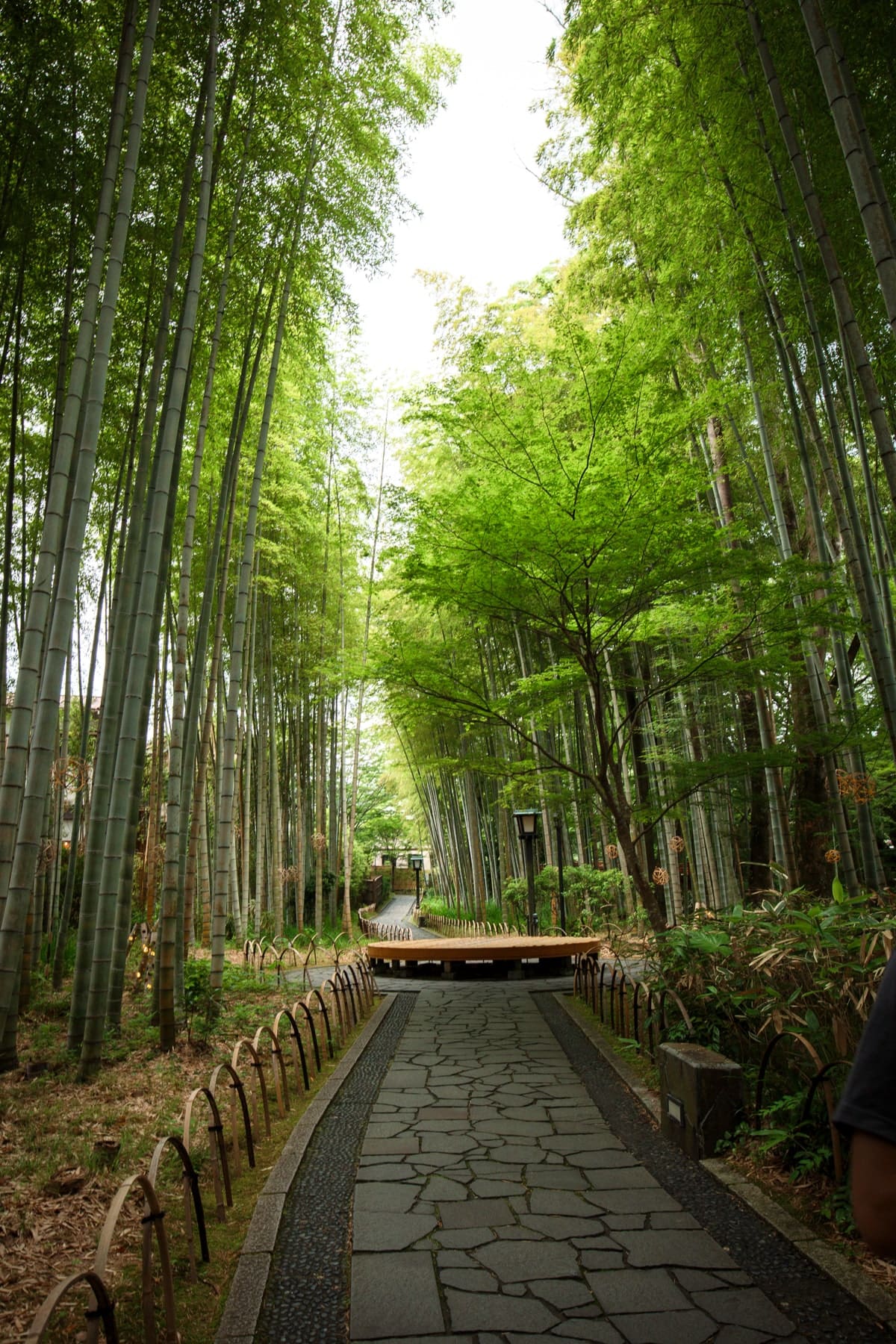 Showa Kinen Park Japanese Garden