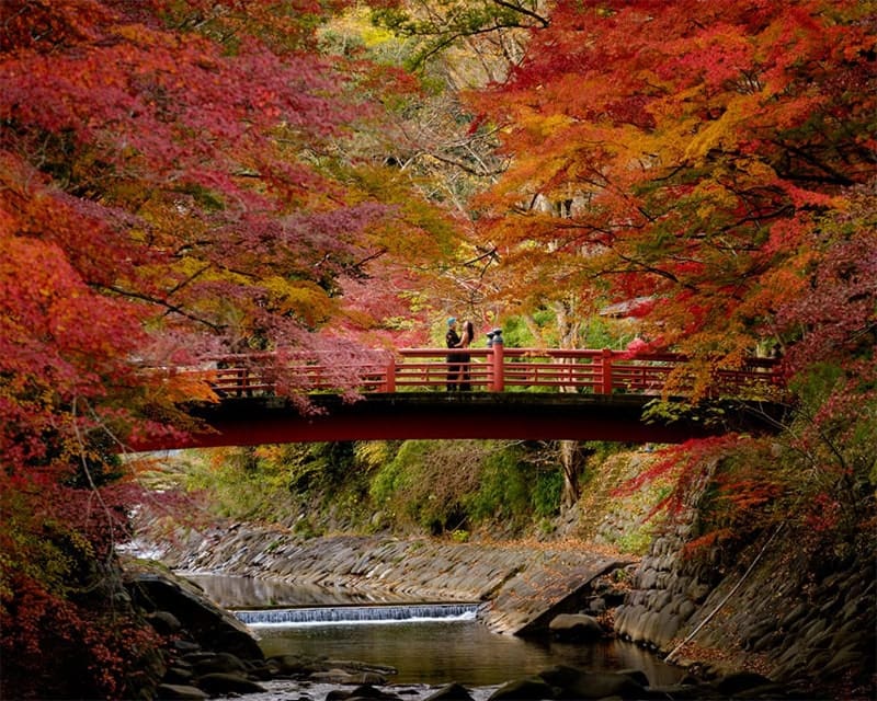 Types of Proposal Locations in Japan – From Iconic to Intimate